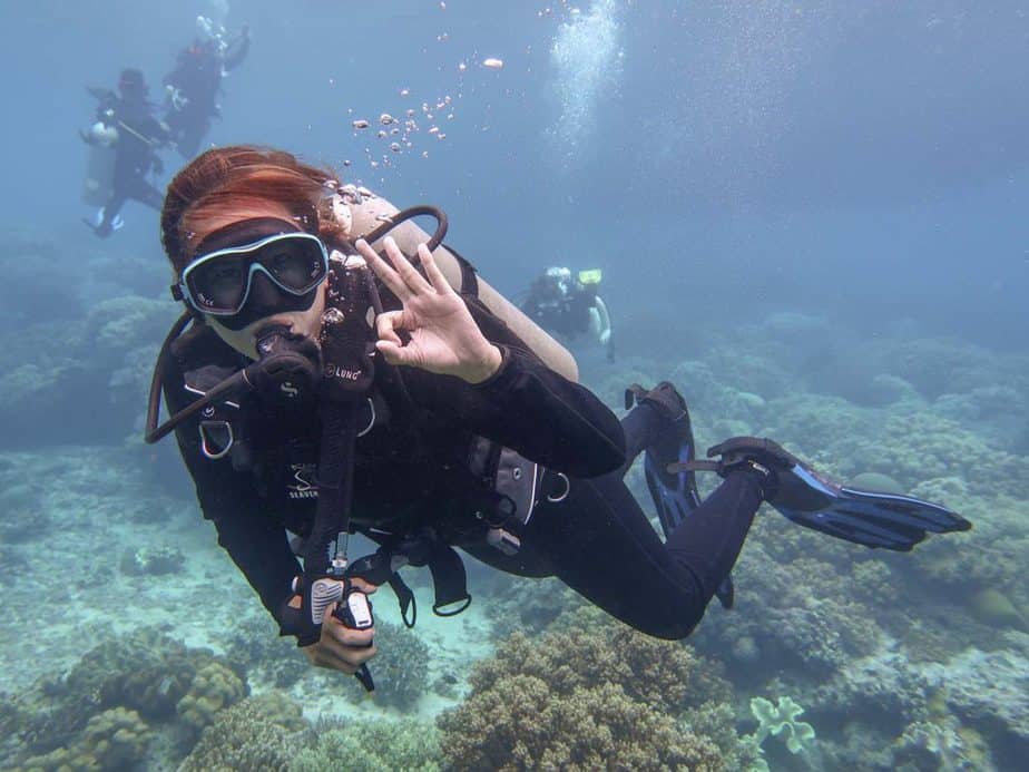 Philippine Dives Ara in Apo Reef