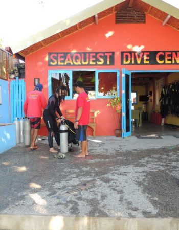 Seaquest Dive Center Moalboal